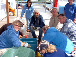 oyster-shucking.png