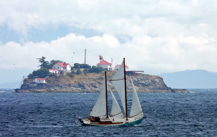 Sail Race.jpg